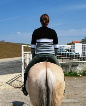 Geistige Wirbelsäulenaufrichtung bei Reiterin und Pferd